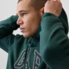 Adult Vintagesoft Arch Logo Hoodie