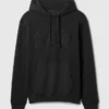 Adult Vintagesoft Arch Logo Hoodie