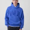 Adult Vintagesoft Nap Logo Hoodie