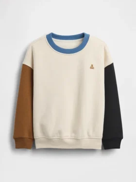 Baby & Toddler Vintagesoft Colorblock Sweatshirt