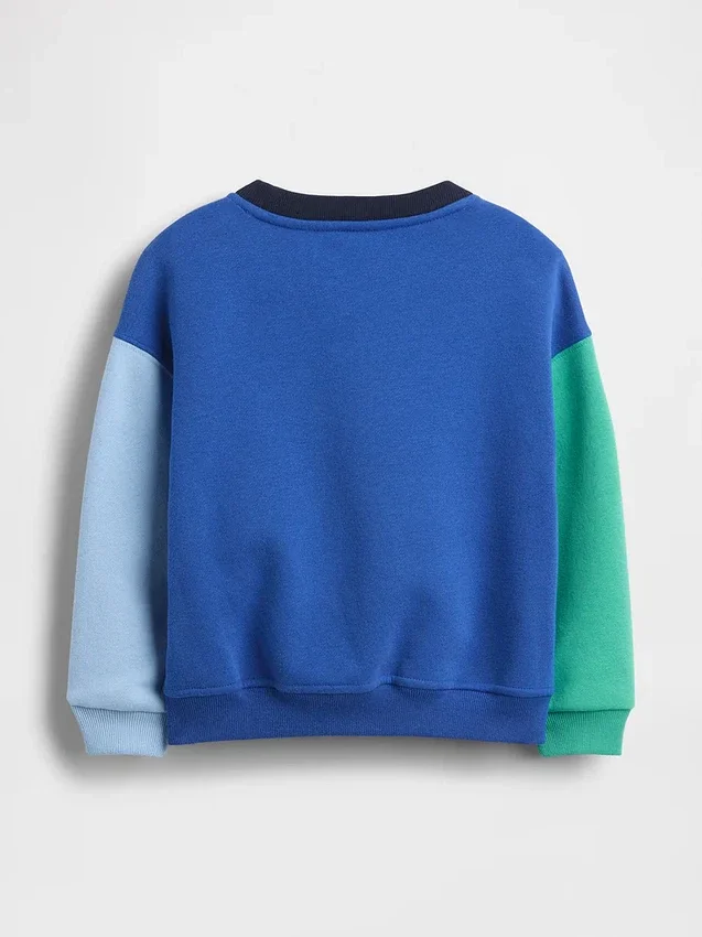 Baby & Toddler Vintagesoft Colorblock Sweatshirt