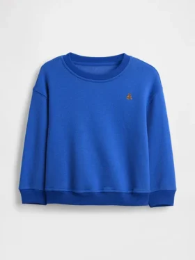 Baby & Toddler Vintagesoft Sweatshirt