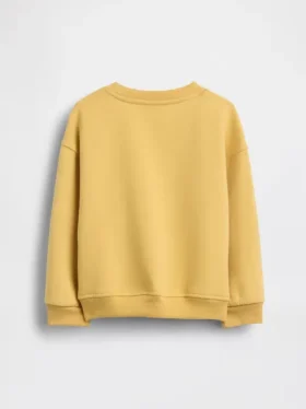 Baby & Toddler Vintagesoft Sweatshirt