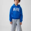 Get Blue Kids Vintagesoft Relaxed Hoodie