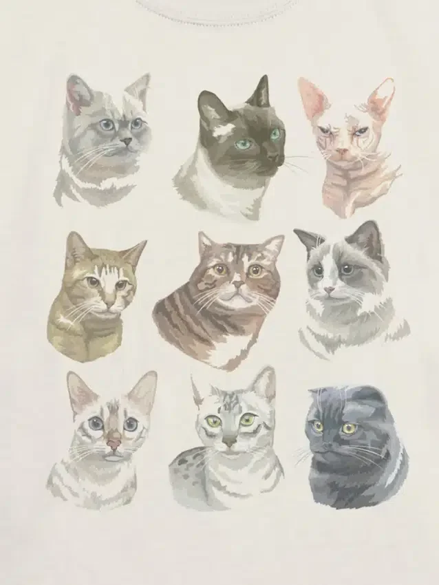 Kids Cat Faces Graphic T-Shirt