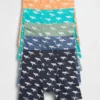Kids Organic Stretch Cotton Boxer Briefs (5-Pack)