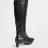Kitten Heel Pointy Knee High Boots