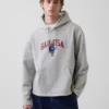 Vintagesoft Oversized Americana Logo Hoodie