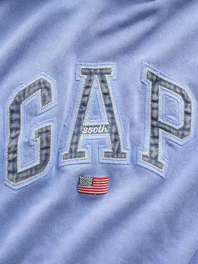Vintagesoft Oversized Americana Logo Hoodie